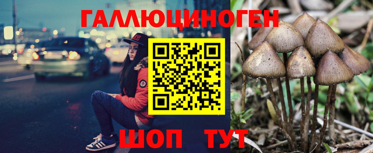 Псилоцибиновые грибы мицелий  Вход с VPN  Ступино 